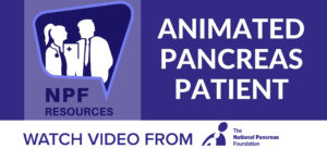 Animated Pancreas Patient